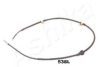 ASHIKA 131-05-538L Cable, parking brake